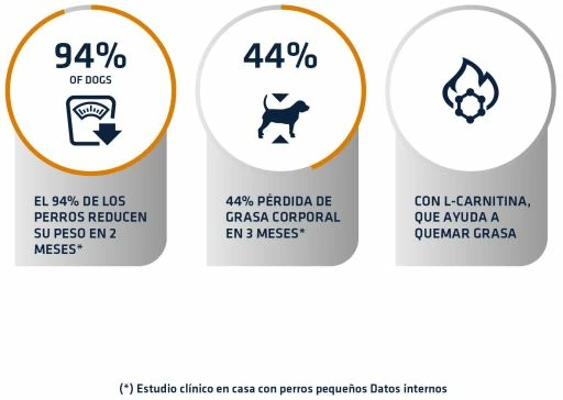 Advance Diets Dog Weight Balance 6 Advance Diets Dog Weight Balance – Image 4