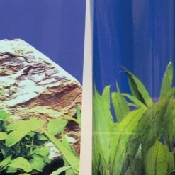 JBL Fixol -Miscota Soldes Boutique 14956 56037 3 g