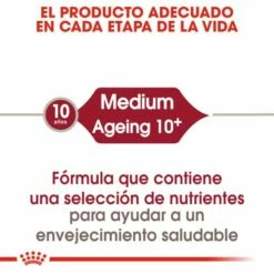 Royal Canin Tourteau Medium Ageing +10 -Miscota Soldes Boutique 15325 3 2 g