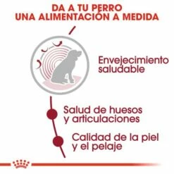 Royal Canin Tourteau Medium Ageing +10 -Miscota Soldes Boutique 15325 4 3 g