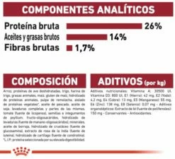 Royal Canin Tourteau Medium Ageing +10 -Miscota Soldes Boutique 15325 8 7 g