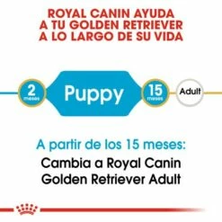 Royal Canin Golden Retriever Puppy Aliment Pour Chiots -Miscota Soldes Boutique 155 3 2 g