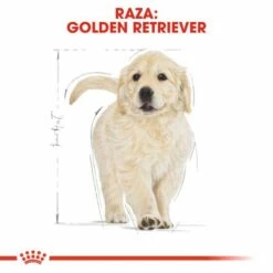 Royal Canin Golden Retriever Puppy Aliment Pour Chiots -Miscota Soldes Boutique 155 6 5 g