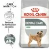 Royal Canin Mini Dental Care 1 Royal Canin Mini Dental Care -Miscota Soldes Boutique 165508 1 0 g