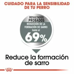 Royal Canin Mini Dental Care -Miscota Soldes Boutique 165508 3 3 g