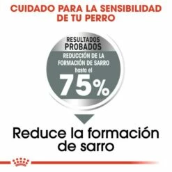 Royal Canin Maxi Dental Care -Miscota Soldes Boutique 165510 rc ccn dentalmaxi cv eretailkit 2 es es 5 g