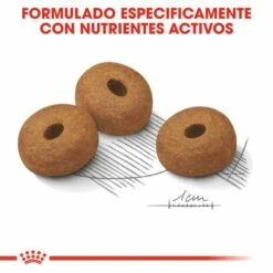 Royal Canin Maxi Light Pour La Gestion Du Poids En Taille Plus 15 Royal Canin Maxi Light Pour La Gestion Du Poids En Taille Plus -Miscota Soldes Boutique 165677 rc ccn lightmaxi cv eretailkit 5 es es 5 g