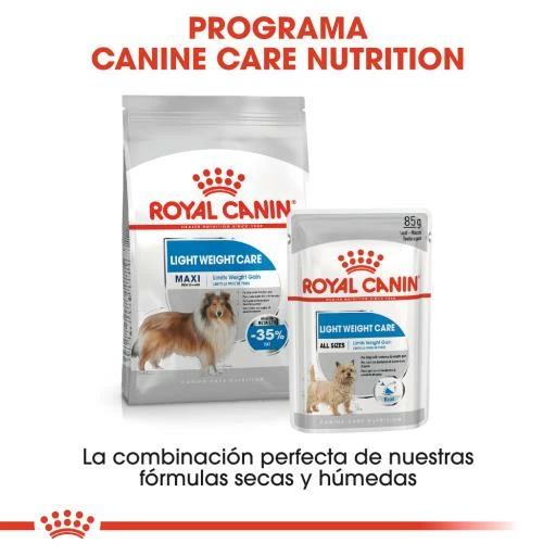 Royal Canin Maxi Light Pour La Gestion Du Poids En Taille Plus 8 Royal Canin Maxi Light Pour La Gestion Du Poids En Taille Plus – Image 6