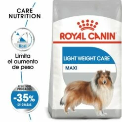 Royal Canin Maxi Light Pour La Gestion Du Poids En Taille Plus