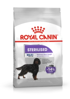 Royal Canin Maxi Sterilised Aliments Pour Chiens Adultes De Grande Taille -Miscota Soldes Boutique 165678 maxi sterilised ccn packshot med res basic 1 g