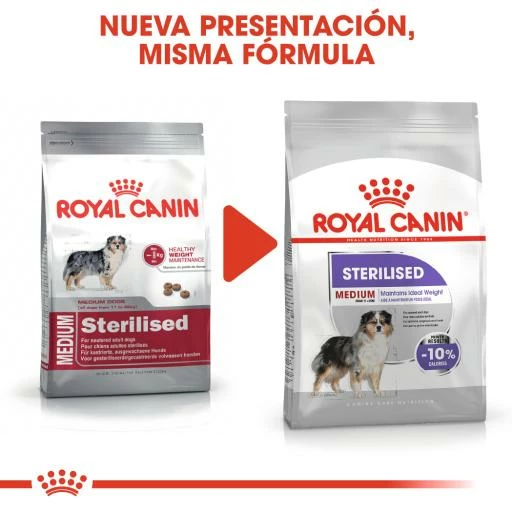 Royal Canin Medium Sterilised Pour Chien Adulte Moyen Stérilisé 6 Royal Canin Medium Sterilised Pour Chien Adulte Moyen Stérilisé – Image 4