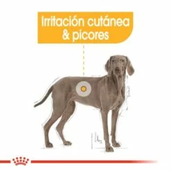 Royal Canin Maxi Dermaconfort Pour Grande Chiens Peau Sensible -Miscota Soldes Boutique 165681 rc ccn dermamax cv eretailkit 2 es es 3 g