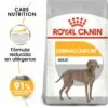 Royal Canin Maxi Dermaconfort Pour Grande Chiens Peau Sensible