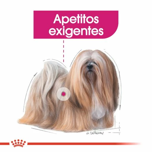 Royal Canin Mini Exigent 6 Royal Canin Mini Exigent – Image 4