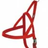 Nayeco Harnais En Néoprène Rouge -Miscota Soldes Boutique 169096 arnes neopreno 0 g