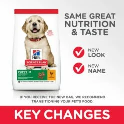 Hill's Science Plan Large Puppy Au Poulet -Miscota Soldes Boutique 171491 atf11 52742026084 key changes 5 5 g