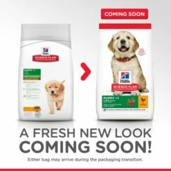 Hill's Science Plan Large Puppy Au Poulet -Miscota Soldes Boutique 171491 atf12 52742026084 packaging transition 3 3 g