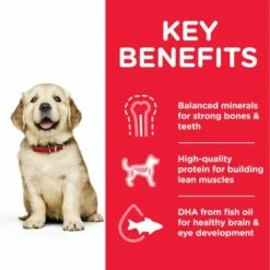Hill's Science Plan Large Puppy Au Poulet -Miscota Soldes Boutique 171491 atf8 52742026084 key benefits 7 7 g