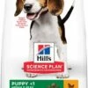 Hill's Science Plan Medium Puppy Au Poulet -Miscota Soldes Boutique 171500 333 52742024974 4 1 1 jpg 1 g