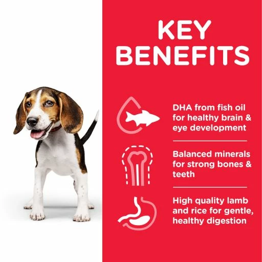 Hill's Science Plan Medium Puppy à L' Agneau & Riz 9 Hill's Science Plan Medium Puppy à L' Agneau & Riz – Image 7