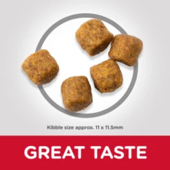 Hill's Science Plan Medium Adult à L' Agneau & Riz -Miscota Soldes Boutique 171506 sp canine science plan adult advanced fitness medium lamb and rice dry productkibbl 3 g