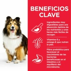 Hill's Science Plan Adult Sensitive Stomach & Skin Au Poulet -Miscota Soldes Boutique 171532 52742025131 4 6 g