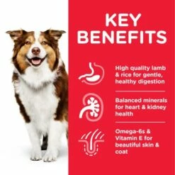 Hill's Science Plan Medium Mature Adult 7+ à L' Agneau & Riz -Miscota Soldes Boutique 171533 atf8 52742025278 key benefits 7 g