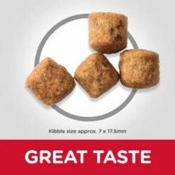 Hill's Science Plan Large Mature Adult 6+ Au Poulet -Miscota Soldes Boutique 171536 atf10 52742025926 food shot 9 g