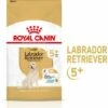 Royal Canin Croquettes Pour Chien Labrador Retriever Ageing 5+ Senior 2 Royal Canin Croquettes Pour Chien Labrador Retriever Ageing 5+ Senior -Miscota Soldes Boutique 174676 rc spt dry lab5 mv 1 es es 6 g