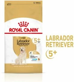 Royal Canin Croquettes Pour Chien Labrador Retriever Ageing 5+ Senior