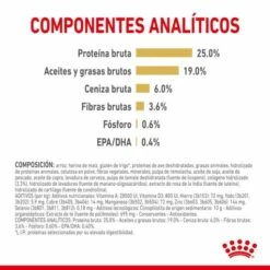 Royal Canin German Shepherd Adult 5+ -Miscota Soldes Boutique 174677 rc spt dry germshep5 cv 3 es es 3 g