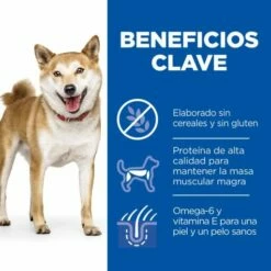 Hill's Science Plan No Grain Medium Adult Au Thon Sans Céréales 12 Hill's Science Plan No Grain Medium Adult Au Thon Sans Céréales -Miscota Soldes Boutique 175003 52742037509 3 2 3 g