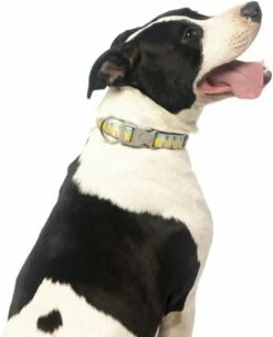 FuzzYard Collier En Néoprène Piña Colada 5 FuzzYard Collier En Néoprène Piña Colada -Miscota Soldes Boutique 175206 collar de neopreno pina colada 1 jpeg 0 g