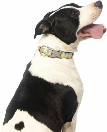 FuzzYard Collier En Néoprène Piña Colada 4 FuzzYard Collier En Néoprène Piña Colada – Image 2