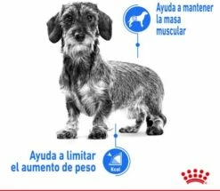 Royal Canin Soins Légers X-Small Pour La Gestion Du Poids Des Chiens Miniatures 12 Royal Canin Soins Légers X-Small Pour La Gestion Du Poids Des Chiens Miniatures -Miscota Soldes Boutique 175531 3 2 g