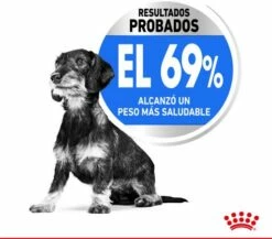 Royal Canin Soins Légers X-Small Pour La Gestion Du Poids Des Chiens Miniatures 13 Royal Canin Soins Légers X-Small Pour La Gestion Du Poids Des Chiens Miniatures -Miscota Soldes Boutique 175531 4 3 g