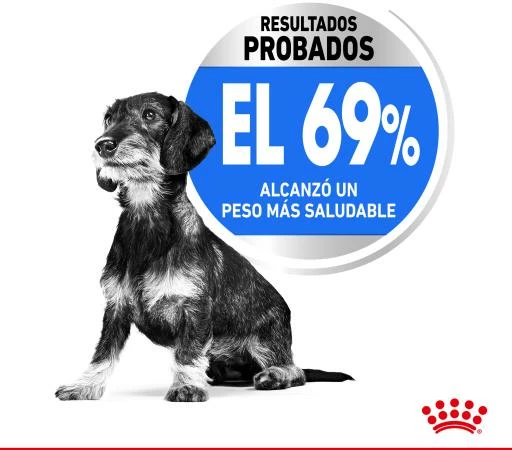 Royal Canin Soins Légers X-Small Pour La Gestion Du Poids Des Chiens Miniatures 6 Royal Canin Soins Légers X-Small Pour La Gestion Du Poids Des Chiens Miniatures – Image 4