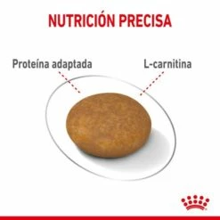 Royal Canin Soins Légers X-Small Pour La Gestion Du Poids Des Chiens Miniatures 14 Royal Canin Soins Légers X-Small Pour La Gestion Du Poids Des Chiens Miniatures -Miscota Soldes Boutique 175531 5 4 g