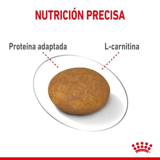 Royal Canin Soins Légers X-Small Pour La Gestion Du Poids Des Chiens Miniatures 7 Royal Canin Soins Légers X-Small Pour La Gestion Du Poids Des Chiens Miniatures – Image 5