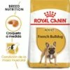Royal Canin French Bulldog Adult Pour Chien Adulte Bouledogue Français 2 Royal Canin French Bulldog Adult Pour Chien Adulte Bouledogue Français -Miscota Soldes Boutique 181 1 0 g