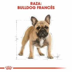 Royal Canin French Bulldog Adult Pour Chien Adulte Bouledogue Français 12 Royal Canin French Bulldog Adult Pour Chien Adulte Bouledogue Français -Miscota Soldes Boutique 181 3 2 g