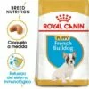 Royal Canin French Bulldog Puppy Aliment Pour Chiots Bouledogue Français