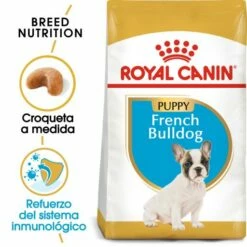 Royal Canin French Bulldog Puppy Aliment Pour Chiots Bouledogue Français