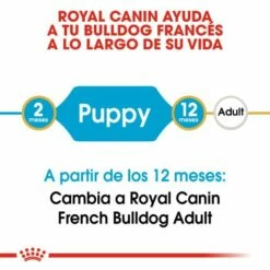 Royal Canin French Bulldog Puppy Aliment Pour Chiots Bouledogue Français -Miscota Soldes Boutique 183 3 2 g