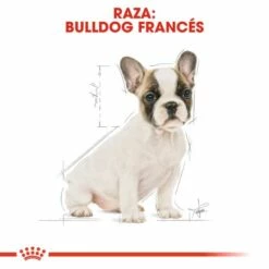 Royal Canin French Bulldog Puppy Aliment Pour Chiots Bouledogue Français -Miscota Soldes Boutique 183 6 5 g