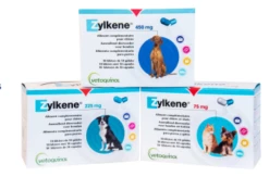 Vetoquinol Vétoquinol Zylkène Pour Situations De Stress 100 Gélules -Miscota Soldes Boutique 187180 zyl 1 g