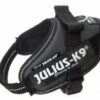 Julius K9 IDC Sling Power Sling Gris