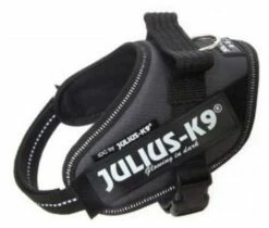 Julius K9 IDC Sling Power Sling Gris