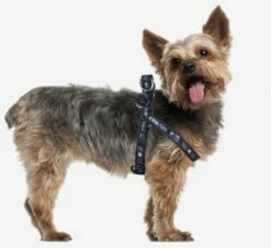 For Fan Pets Harnais Pour Chien Star Wars Darth Vader/ Petral -Miscota Soldes Boutique 187962 arnes petral star wars darth vader 11 13 jpeg 9 g