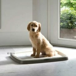 Savic Puppy Trainer -Miscota Soldes Boutique 190792 savic ptlarge 1 6229c8a83cbe1 g